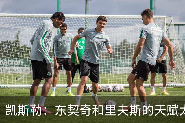 凯斯勒：东契奇和里夫斯的天赋太出众 跟他们并肩作战是一种享受
