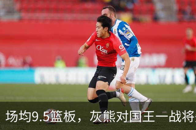 场均9.5篮板，灰熊对国王一战将失去他