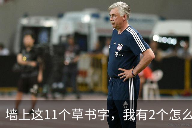 墙上这11个草书字，我有2个怎么也不敢认！能全认出来的，老师您肚里的墨水我是真服气——草书写慢一点，是更扎实，还是反而失了笔势？