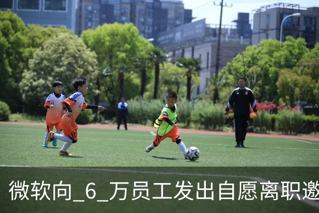 微软向 6 万员工发出自愿离职邀请：覆盖全球超四分之一员工，副总裁也在列