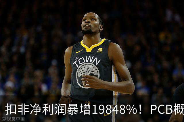 扣非净利润暴增19848%！PCB概念股，前十大股东新增神秘自然人