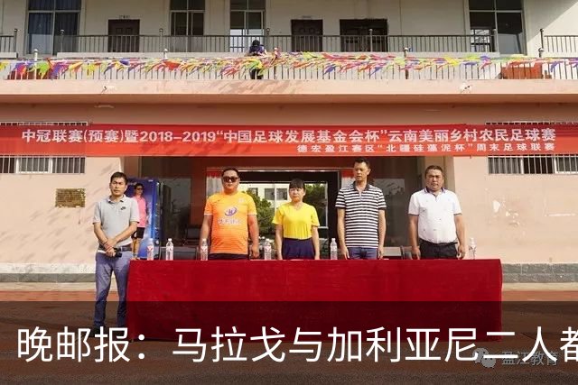 晚邮报：马拉戈与加利亚尼二人都尚未获得11家意甲俱乐部支持