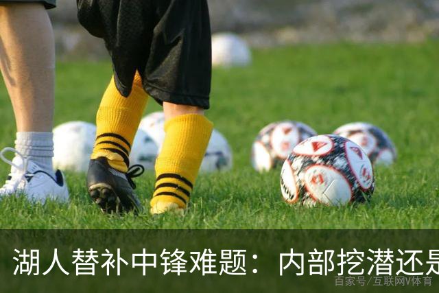 湖人替补中锋难题：内部挖潜还是外部补强？