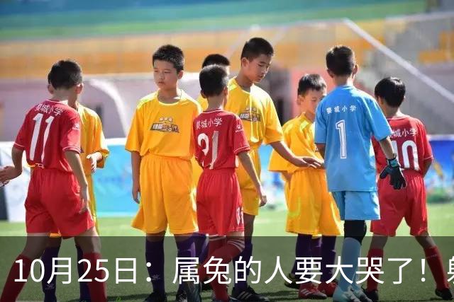 10月25日：属兔的人要大哭了！躲不掉！这都是老天爷的安排！